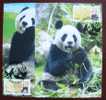 Maxi Cards Taiwan 2010 Giant Panda Bear ATM Frama Stamps-- Red Imprint- Bamboo Bears WWF - Maximumkaarten