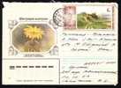 RUSSIA 1985 Enteire Postal Stationery Cover Circulated With Cactusses. - Sukkulenten