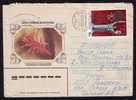 RUSSIA 1984 Enteire Postal Stationery Cover Circulated With Cactusses. - Cactussen