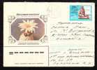 RUSSIA 1985 Enteire Postal Stationery Cover Circulated With Cactusses. - Sukkulenten