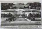 AUSTRIA / OSTERREICH - Wien / Viena - Schloss Shoenbrunn Mit Gloriette - 1960s B&w Postcard - Schönbrunn Palace