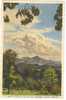 USA Postcard Mont Pisgah & The Rat, NC Western North Carolina (Made In Switzerland) - Asheville