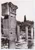 SAINT REMY DE PROVENCE - LES RUINES DE GLANUM - UN COIN DU QUARTIER GREC - MAISON DES ANTES - Saint-Remy-de-Provence