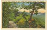 USA Postcard Path To Hickory Nut Falls, Chimney Rock Mountain NC North Carolina - Asheville