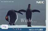 PREPAID Carte Japon * Oiseau * Pingouin (778) MANCHOT * PENGUIN * BIRD * CARD JAPAN * PINGUIN * - Pinguïns & Vetganzen