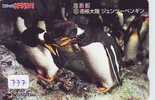 PREPAID Carte Japon * Oiseau * Pingouin (777) MANCHOT * PENGUIN * BIRD * CARD JAPAN * PINGUIN * - Pinguini