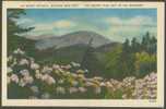 USA Postcard Mount Mitchell 6684 Feet, Mississippi - Sonstige & Ohne Zuordnung