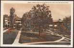 USA Postcard Front Campus View, Blue Mountain College, Mississippi - Andere & Zonder Classificatie