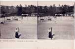 CPA SPORT/TENNIS/  Belle Carte Postale FRANCE Tennis Les Courts SCENES ANIMEES TBE - Tennis