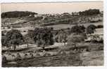 51 MONTMIRAIL  -  VUE PANORAMIQUE  -  CPSM ANNEE 1940/50 - Montmirail