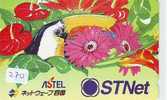 Télécarte Japon * Oiseau * PERROQUET  (270)  PARROT * BIRD * Phonecard Japan - PAPAGEI  * PAPAGAAI * - Papegaaien & Parkieten