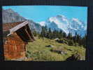 CPSM SUISSE-Wengen-Jungfrau - Wengen