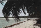 Kenia - Indian Ocean Paradise - Kenia