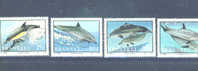 TRANSKEI - 1991 Dolphins UM - Transkei