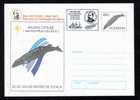 WHALE,BALEINES - HUNTING  1997 COVER POSTAL STATIONERY PMK BELGICA EXPEDITION IN ANTARCTICA. - Balene