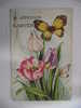 Cpa Joyous Easter Tulipes + Papillon - Autres & Non Classés