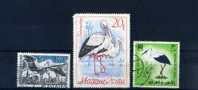 -  ENSEMBLE DE TIMBRES SUR LES COGOGNES . PAYS DIVERS - Storks & Long-legged Wading Birds