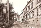 SAINT SAUVEUR EN PUISAYE LA MAISON NATALE DE COLETTE RUE DES VIGNES (PERSONNAGES)REF 18969 - Saint Sauveur En Puisaye