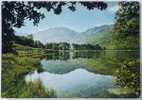 UK / ENGLAND - Buttermere Lake And Pines - Haystacks Mountains - Ca. 1960s Postcard - Buttermere