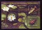 Fish Thermal Water Lily Snail Mollusk MNH 2008 Romania - Full Sheets & Multiples