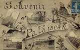 CPA (91) PALAISEAU    Souvenir (defaut Coin Bas Gauche) - Palaiseau