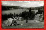 * ALLEMAGNE-TITISEE 860m ü. M.-Camping En Contrebas(Carte Photo) - Titisee-Neustadt