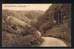 RB 634 - 1911 Postcard Road At Sterrage Valley Ilfracombe Devon - Ilfracombe