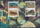 1995 ST PIERRE MIQUELON 614-17 Crustacés Carte Maximum - Storia Postale