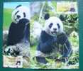 Maxi Cards 2010 Giant Panda Bear ATM Frama Stamps-- Black Imprint- Bamboo Bears WWF - Maximum Cards