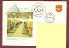 Processing Postal Mail In Transit  ROMANIA Postal Stationery Cover 1977. - U.P.U.