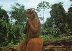 PEROU Cpsm Ethnologie Iquitos Indien Tribu Yagua En Yanamono - Perù