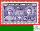 Newfoundland # 249 Scott - Unitrade - Mint / Terre-Neuve - Neuf - 1908-1947