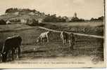 Saint Agréve   Vue Méridionale Et Mont Chiniac - Saint Agrève