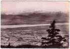 01 GEX-LA-FAUCILLE - Panorama De La Chaîne Des Alpes - Le Mont Blanc Et Le Lac De Genéve 1951 - Gex