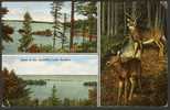 USA PC Views In The Beautiful Lake Country, Wisconsin See Scan ! - Other & Unclassified