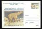 BEARS OURS 1 COVER STATIONERY 2004 ROMANIA - Bears