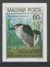 Hungary Ungarn 1980 Mi 3452 B ** Nycticorax Nycticorax: Black-crowned Night Heron / Nachtreiher / Kwak - Unused Stamps