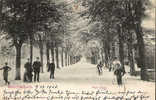 TOP!! BAD NAUHEIM * PARK-ALLEE * 1903  **!! - Bad Nauheim