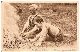 LES POMMES DE TERRE-reproduction Tableau Sauza Pinto-Musée Du Luxembourg-verso Publicité Semelles Wood-Milne - Landbouw