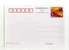 - CHINE . ENTIER SUR CP DE 1999 - Cartes Postales