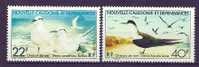 Nueva Caledonia New Caledonia 1978 Birds Oiseaux  Aves Tern MNH - Albatros