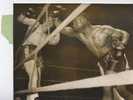 P 324 - PHOTO - BOXE - DAUTHUILLE Bat Aux Palais Des Sports  NORMAN HAYES Aux Points  Ect 1952 - Voir Résumé - - Altri & Non Classificati