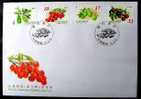FDC Taiwan 2002 Fruit Stamps (C) Avocado Lichee Litchi Date Passion Flora - FDC