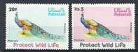 Pakistan 1976 Birds Oiseaux Aves Peafowl Pavo MNH - Gallinaceans & Pheasants