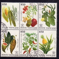 CITTÀ DEL VATICANO VATICAN VATIKAN 1992 FLORA FIORI FLOWERS FLEURS SERIE COMPLETA COMPLETE SET USATA USED OBLITERE' - Used Stamps