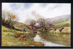RB 643 - Early L & N.W. Railway Postcard - The Sheep Pool Llanwrtyd Wells Becknockshire Wales - Breconshire