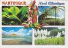 (BAL2) MARTINIQUE. EVENTAIL. SAINTE MARIE. TRINITE - La Trinite