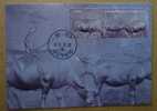 Maxi Card Taiwan 2010 Sculpture Stamp Water Buffalo Ox Banana Bamboo Hat Kid Boy - Cartes-maximum