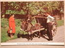 Bringing Home The Turf With Irish Donkey And Cart, Ireland - Sonstige & Ohne Zuordnung