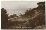 On The Cliffs, Westcliff-on-Sea, 1919 Postcard - Southend, Westcliff & Leigh